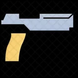 Gun